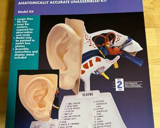 New in box ear kit