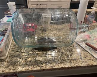 5 gallon jug terrarium with stand.   Hole in side of jug 