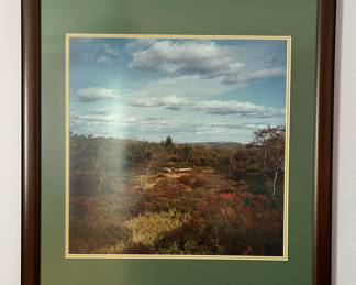Sample of original photographs throughout the house