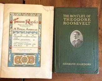 The Boys Life of Theodore Roosevelt
