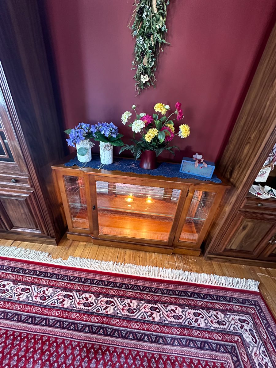 Dual light curio cabinet with front and side beveled glass and mirror back