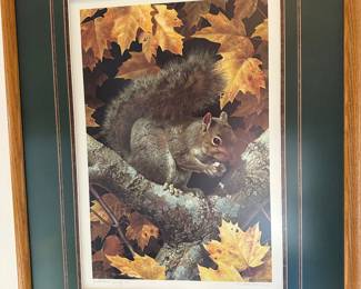 Squirrel print, LE, signed Carl Brenders