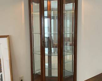 Curio Cabinet with Glass Door and Shelves - w/lights