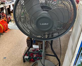 Fan