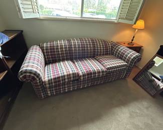 Sleeper Sofa 