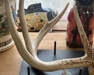 deer antlers