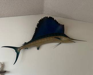 Sail fish
