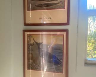 Framed Whale print