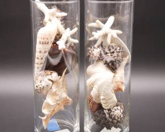 Pair of Libbey Glass Cylinder Vases with Seashells and Coral 