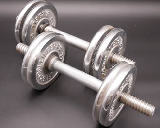 Pair of Bollinger Metal Barbells with 8 3lbs Weights 