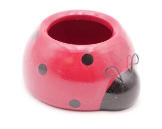 Bloomrite Lady Love Bug Ceramic Planter 