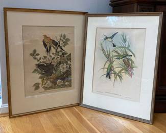 AUDUBON AND VINTAGE JOHN GOULD BIRD FRAMED PICTURES