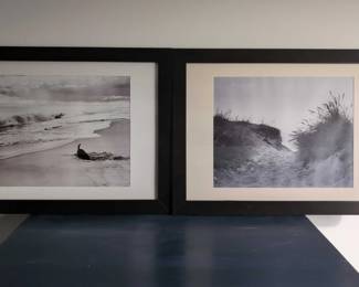 Beach Wall Art Featuring A Dog