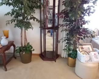 We have 3 lighted curio cabinets and 3 tall artificial potted plants!