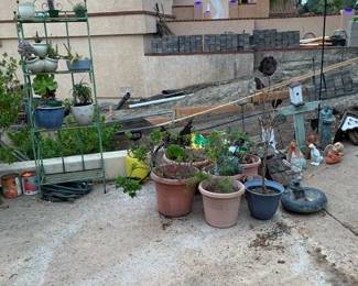 garden tools & potted plants