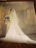 picture of bride with dress and veil