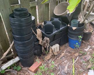 Gardening, planters, plants