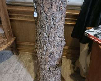 Tree trunk display
