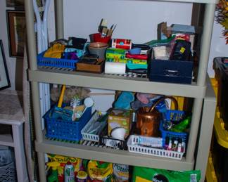 Assortment house cleaning supplies and gardening supplies