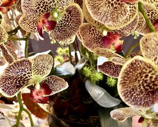 Lots of amazing florals in this estate.