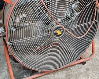 FAN