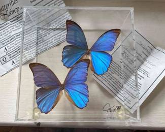 Nancy Babbe Butterfly Art