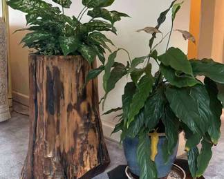 Wood Stump Plant Stand