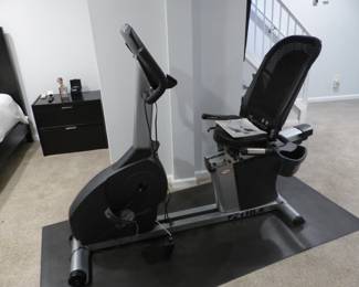 True Fitness recumbent bike