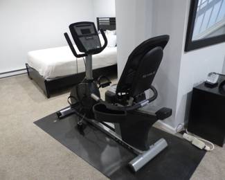 True Fitness recumbent bike