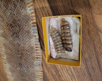 Rattle Snake Hyde And Rattles