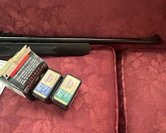 A Daisy Power Line BB Gun, with BB’s. Model #856/860 w/Manual. 