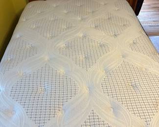 The mattress and boxspring are in EXCELLENT condition within no stains, rips or tears. Looks as if it was ever used! (Serta)