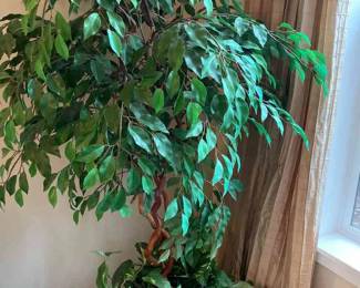 Artificial Ficus Tree In Woven Basket