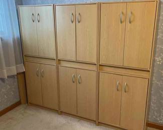 3 Storage Cabineta