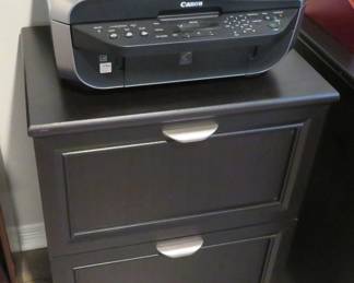 Canon printer, file cabinet