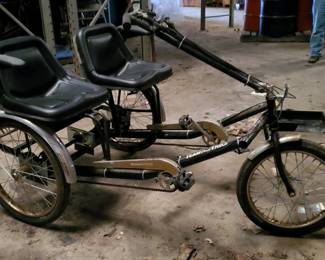 Worksman Team dual trike 