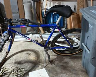 Diamondback Ascent EX Mountain Bike