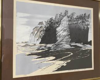 Framed and Matted Pen Drawing "Cape Flattery Shore"