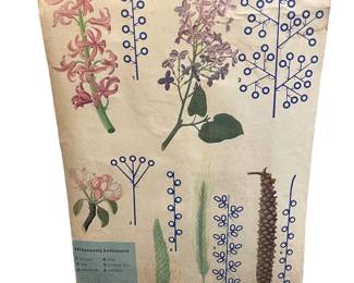 VINTAGE EUROPEAN BOTANICAL CHART
