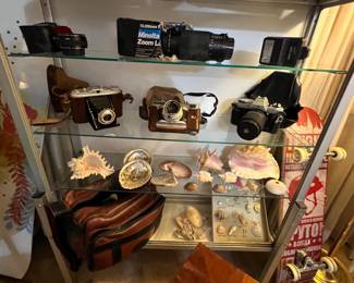 Cameras & shells… yeah… that makes sense. We were getting tired.