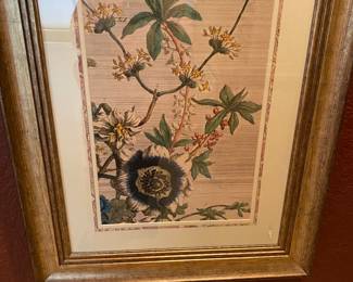 Framed & matted picture under glass