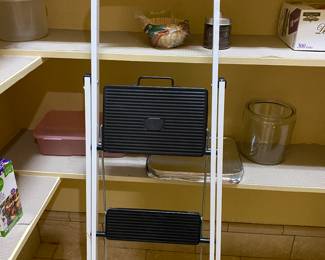 Pantry ladder
