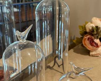 Decorative Cloche Bell Jar Terrarium Bird Glass Display Dome Cover with Wood Base 