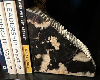Petrified Wood Book Ends