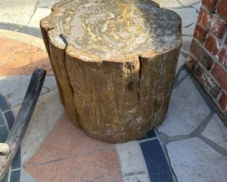 PETRIFIED WOOD Garden Seat / Stool