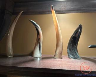 Collection of Horn / Tusks from RESTORATION HARDWARE