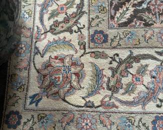 Large Hand Knotted Area Rug (9' x 12')