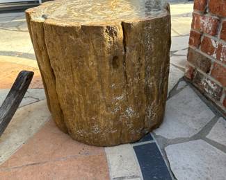 PETRIFIED WOOD Garden Seat / Stool