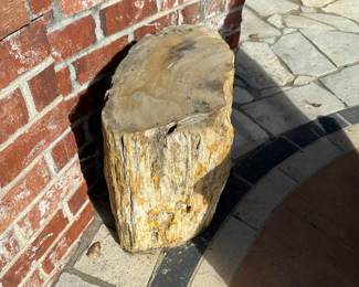 PETRIFIED WOOD Garden Seat / Stool