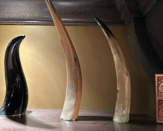 Collection of Horn / Tusks from RESTORATION HARDWARE